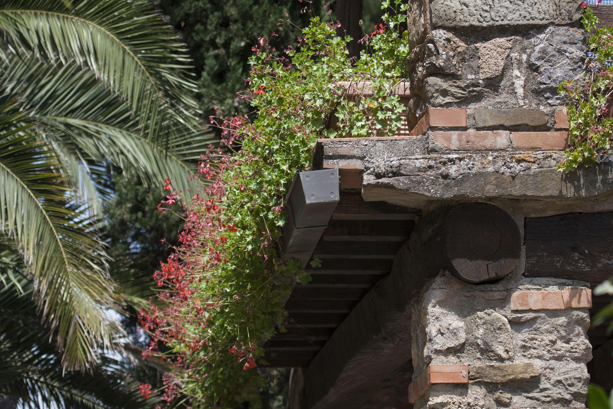 Tenuta Aronne Massa Marittima Exteriér fotografie