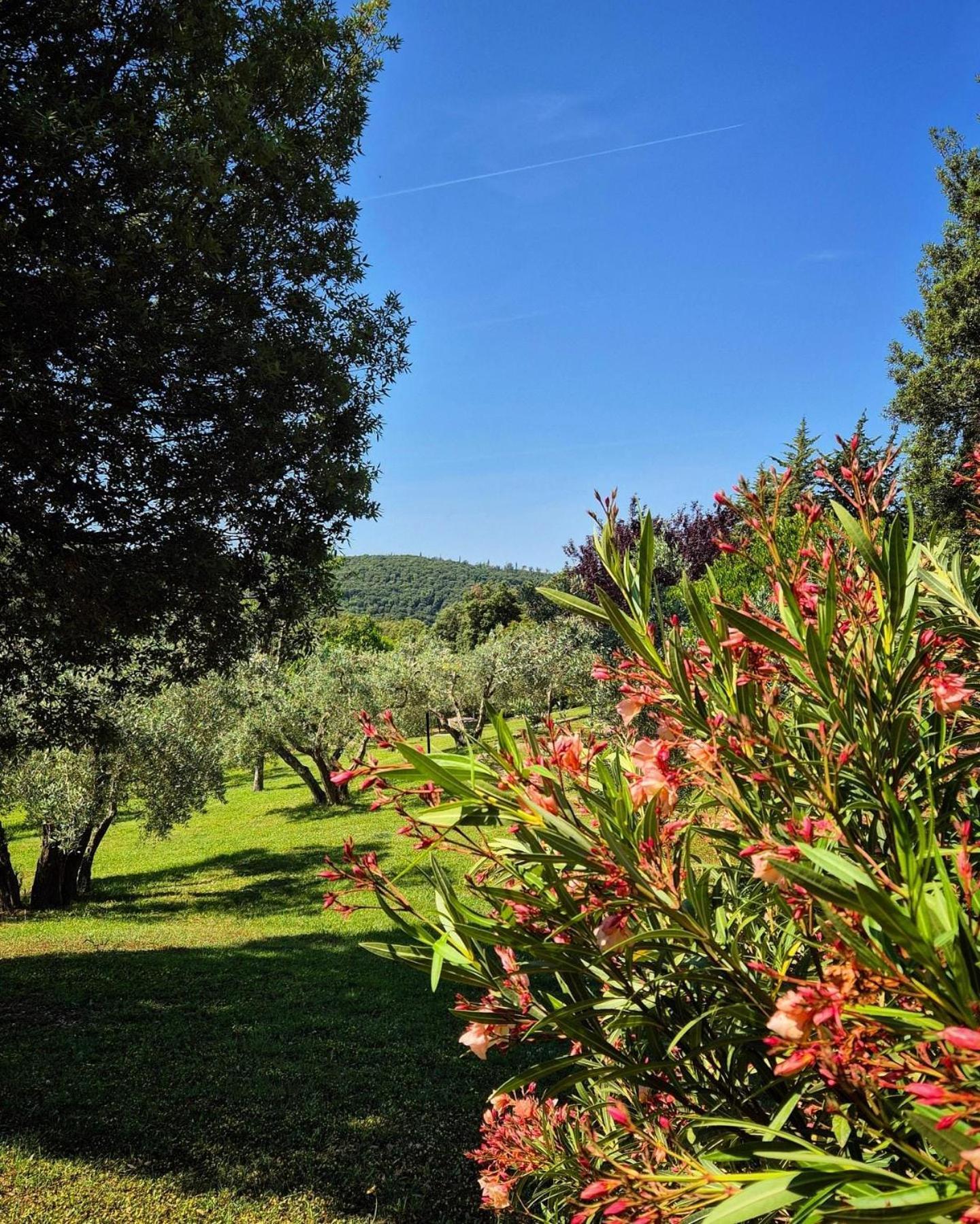 Tenuta Aronne Massa Marittima Exteriér fotografie