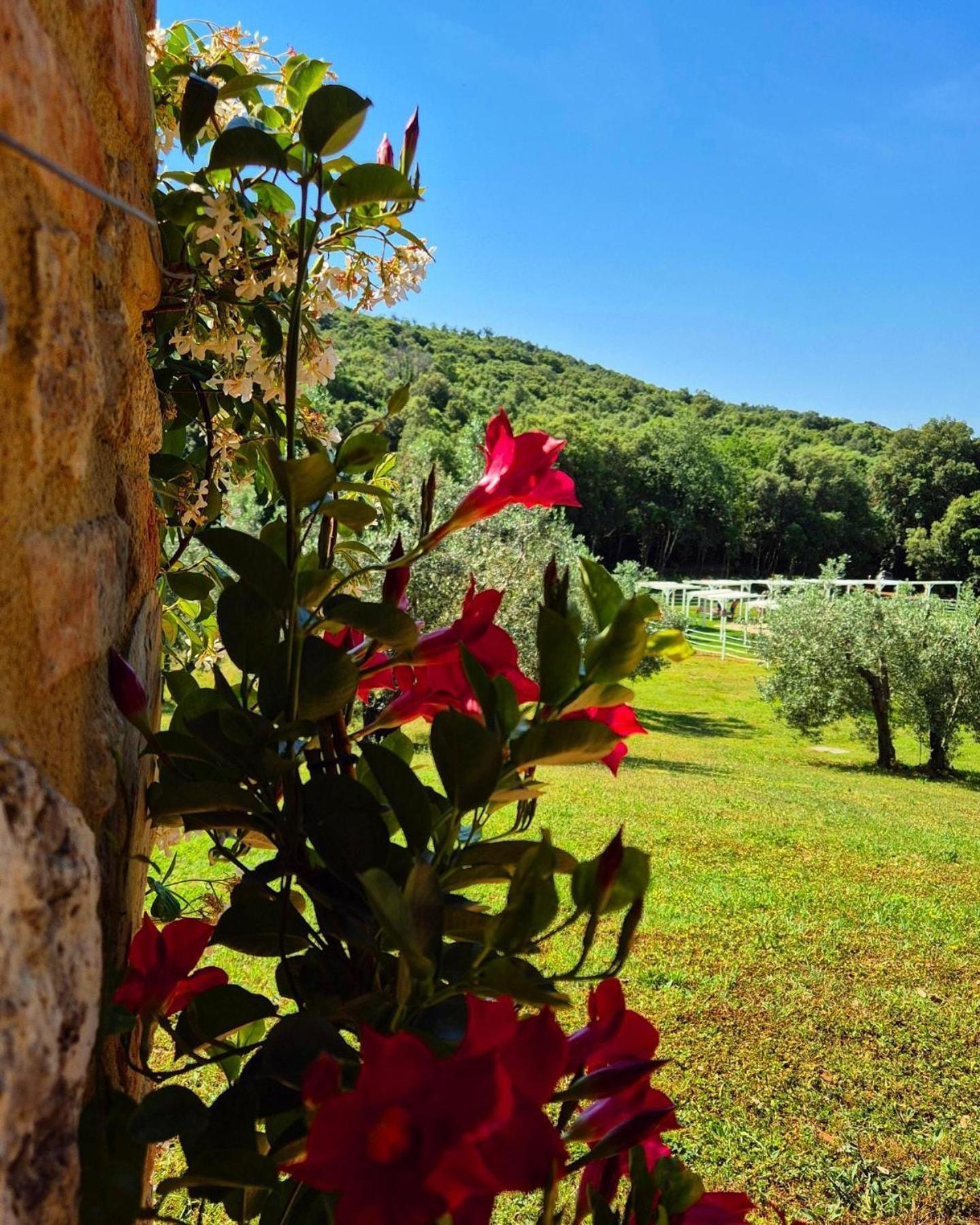 Tenuta Aronne Massa Marittima Exteriér fotografie